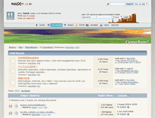 Tablet Screenshot of cyna.noisen.com